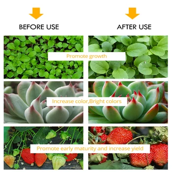 LED Augalų Auga Šviesos Pritemdomi Visą Spektrą Patalpų daigų, Daržovių, Gėlių lempa Laikmatis Įjungti USB Kištukas, fito lempos
