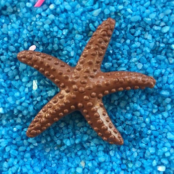 Ekologiško Plastiko Paplūdimio Pakrantės Modeliavimas Žvaigždė 
