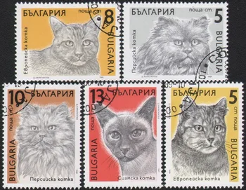 5vnt/Set Bulgarija Pašto Ženklų 1989 Pet Šunys, Naudojami Rašyti, Pažymėtos Pašto Ženklų Kolekcionavimas