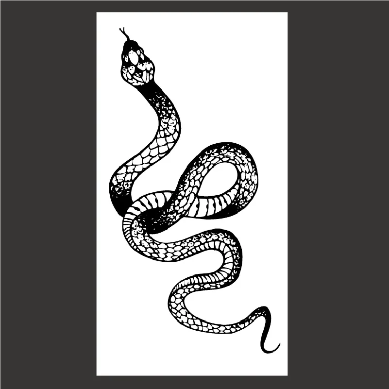 2021 Naujas Mados Laikinai Lipdukas Arm Tatuiruotės Snake Gyvūnų Tatuiruotė Kietas Patamsėjimą Tamsiai Serijos Lipdukas Gyvatė Kaukolė Tatuiruotės Lipdukai 4