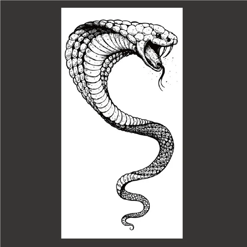 2021 Naujas Mados Laikinai Lipdukas Arm Tatuiruotės Snake Gyvūnų Tatuiruotė Kietas Patamsėjimą Tamsiai Serijos Lipdukas Gyvatė Kaukolė Tatuiruotės Lipdukai 5